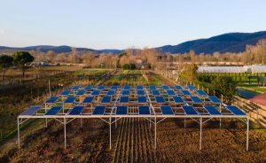 Enerjisa Üretim’den tarımda güneş enerjisi kullanımı projesi