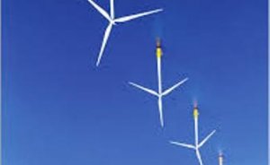 Temiz enerji koşusunu su kaplumbağası kazanabilir!