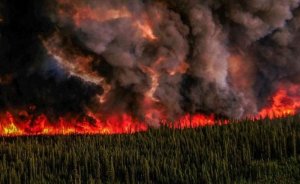 Kanada’da 400’ün üzerinde orman yangını