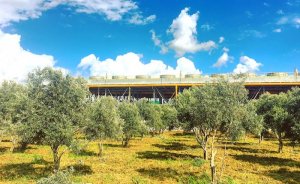 Akça Hisar Enerji, Denizli’de jeotermal santral kuracak