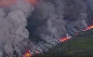 Kanada'daki orman yangınları petrol fiyatını yükseltti