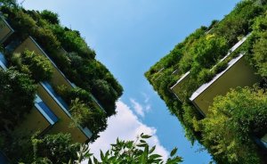 BENVER-2’nin kazananları belli oldu