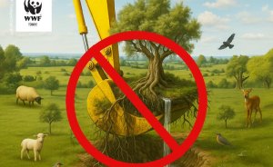 WWF-Türkiye: Doğa Taşınamaz, Ekosistem Yerinden Edilemez