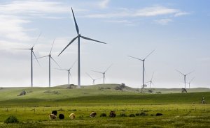 Iberdrola şebeke yatırımlarına odaklanacak