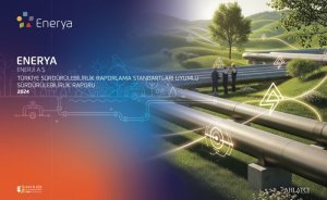 Enerya 2024'te 8 bin 290 ton doğalgaz kaçağı raporladı