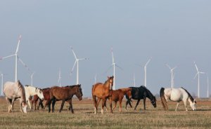 Rosatom, Dağıstan’da rüzgar elektriği üretmeye başladı