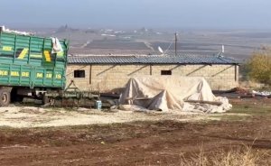 Ahırda kaçak elektrikle kripto para üretenler yakalandı