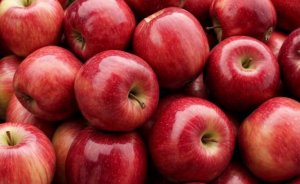 Ukrayna'nın enerji krizi elmayı vurdu