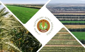 TİGEM Gökhöyük elektrik ihalesi düzenliyor