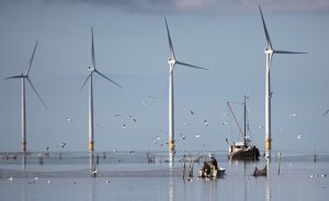 Kuzey Denizi’nde 100 GW’lık rüzgar şebekesi kurulacak