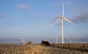 Enel, 63 milyar dolar yatırım yapacak