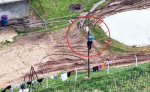 Yapay zeka izledi, kaçak bağlantı deşifre oldu