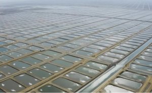 Adana Karataş OSB'ye 1,3 milyar TL'lik altyapı ihalesi