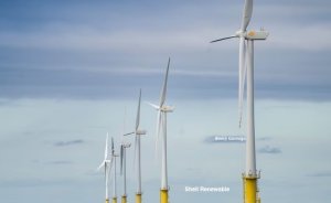 Güneşe yüz çeviren Shell fosile odaklanıyor