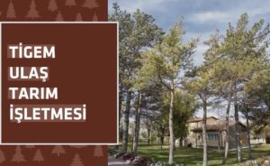 Ulaş Tarım'dan Sivas'ta yıllık elektrik alım ihalesi