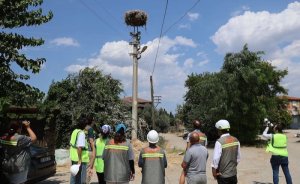 Adm Elektrik ve Gdz Elektrik’ten kuşların uçuş güzergâhlarında önlem