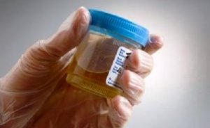 Cep telefonları idrarla şarj edilecek!