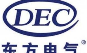 Çinli şirket Rus şirketin enerji projelerine yatırım yapacak