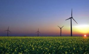 İngiltere Enerji Bakanı, rüzgar santrallerine karşı