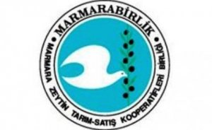 Marmarabirlik zeytin atıklarından elektrik üretecek