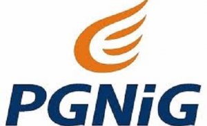 PGNİG’nin doğalgaz satışları düştü