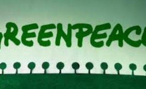 Greenpeace’den termik santral eylemi