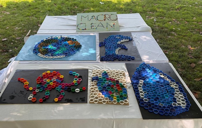 macro-clean-sanat.jpeg