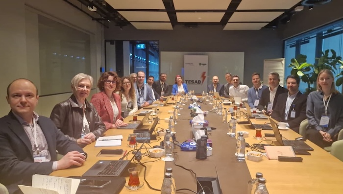 tesab-eurelectric-toplantisi-istanbul.jpeg